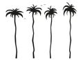 Simple flat black and white tall palm trees icon