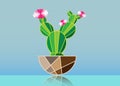 Simple flat cactus vector icon. Green cactacea with pink flowers pictogram isolated on blue background Royalty Free Stock Photo