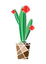 Simple flat cactus vector icon. Green Saguaro with red flowers pictogram isolated Royalty Free Stock Photo