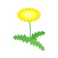 Simple and flat dandelion illustration