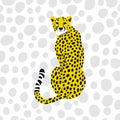 Sitting Wild Cheetah Spotted Big Cat Portrait Royalty Free Stock Photo