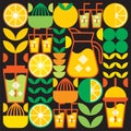 Simple flat illustration of abstract shapes of citrus fruits, lemons, lemonade, limes, leaves and other geometric symbols. Royalty Free Stock Photo