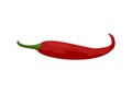 Curly red chili. Simple flat illustration. Royalty Free Stock Photo