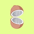 Simple Flat Open Coconut Vector Illustration