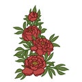Simple Flat Outline Vector Clipart Of A Bouquet Of Peonies