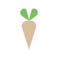 Simple flat parsley icon