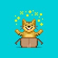 Simple flat pixel art illustration of cartoon smiling tiger sitting in an open cardboard box and showing a magical glow o
