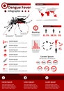 Infectious Disease Infographics - Dengue Fever Royalty Free Stock Photo