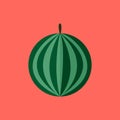 Simple Flat Watermelon Vector Illustration