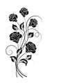 Simple floral background in black and white Royalty Free Stock Photo