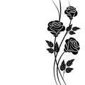 Simple floral background in black and white Royalty Free Stock Photo