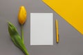 Simple floral mock up. Yellow tulip flower, pen and empty paper blank on geometric yellow and gray background. Copy