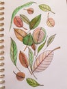 Simple floral pattern with lovely autumnal leaves. Watercolor seamless print on white paper background