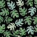 Simple floral seamless doodle pattern with monstera ornament. Green and blue botanic shapes on black background Royalty Free Stock Photo