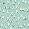 Simple floral seamless pattern with botanic flowers ornament. White daisy elements on soft blue background