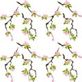 Simple floral seamless pattern. Pink flowers with green leaves on brown branches. cherry, sakura. Elegant template for Royalty Free Stock Photo