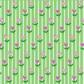 A simple floral texture of pastel color: pink tulips with a green stem and leaves on a gentle green background in a white strip. Royalty Free Stock Photo