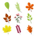 Simple Floral Various Leaves Vector Illustration Graphic Set