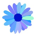 Simple flower of blossoming and blooming blue chamomile. Vector Illustration Royalty Free Stock Photo
