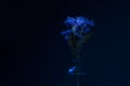 Simple Flower Arrangement in Dark Blue Tones