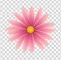 Simple flower colors on a transparent background