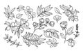Simple flower tattoo, outline plants. Wild botanic, floral sketch, bouquet with leaf and branch silhouettes. Eucalyptus