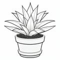 Simple And Fun Haworthia Fasciata Coloring Page For Kids