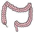 Simple gastrointestinal illustration of bowel internal system. Healthy gut concept. Human body parts in vector