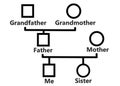 A simple Genogram diagram chart used in counselling and social service white backdrop