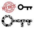 Geometric Key Icon Mosaic and Textured Key Facts Stamp Imitation