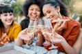 The simple gift of friendship is within our hands. a group of friends having champagne and pizza in a park. Royalty Free Stock Photo
