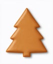 simple gingerbread cookie in Christmas tree shape Royalty Free Stock Photo