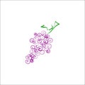 Simple grape icon design vector illustration, eco food