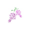 Simple grape icon design vector illustration, eco food