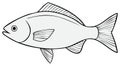 Simple graphic illustration of a generic fish, black and white line art vector Royalty Free Stock Photo