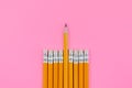 Simple graphite pencils on pink background. group of pencils with an eraser one stands out from rest Royalty Free Stock Photo