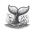 Vintage Gray Whale Tail Front View Vector Icon Design. Royalty Free Stock Photo