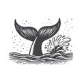 Gray Whale Tail Front View Vector Icon Design. Royalty Free Stock Photo