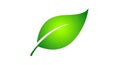 A simple green leaf with a smooth gradient from bright to dark green. It is stylize Royalty Free Stock Photo