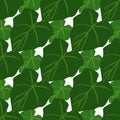 Simple green leaves seamless pattern on black background. Foliage wallpaper in flat style Royalty Free Stock Photo