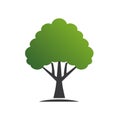Simple green tree vector illustration for web design and graphic projects emphasizing nature Royalty Free Stock Photo