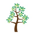 Simple Green Tree Vector Illustration on White Background Royalty Free Stock Photo