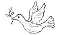 Simple grunge black and white freehand drawing of a dove with an olive or laurel branch in its beak. Vector line sketch of a Royalty Free Stock Photo