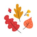 Simple hand drawn illustration of colored autumn leaves