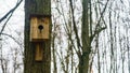 Simple handmade wooden bird nesting box on a tree. Birdhouse on the blurry background of rees and gloomy sky