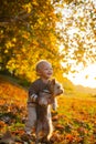 Simple happiness. Sweet childhood memories. Child play with yorkshire terrier dog. Toddler boy enjoy autumn with dog