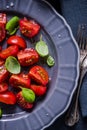 Simple and healthy dish, tomato and basil Royalty Free Stock Photo