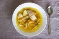 Simple home made soup with turkey meat, noodles and potatoes, broth