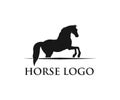 simple horse sport vector logo design inspiration Royalty Free Stock Photo