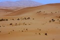 Simple hotel in the desert, Sahara, Morocco Royalty Free Stock Photo